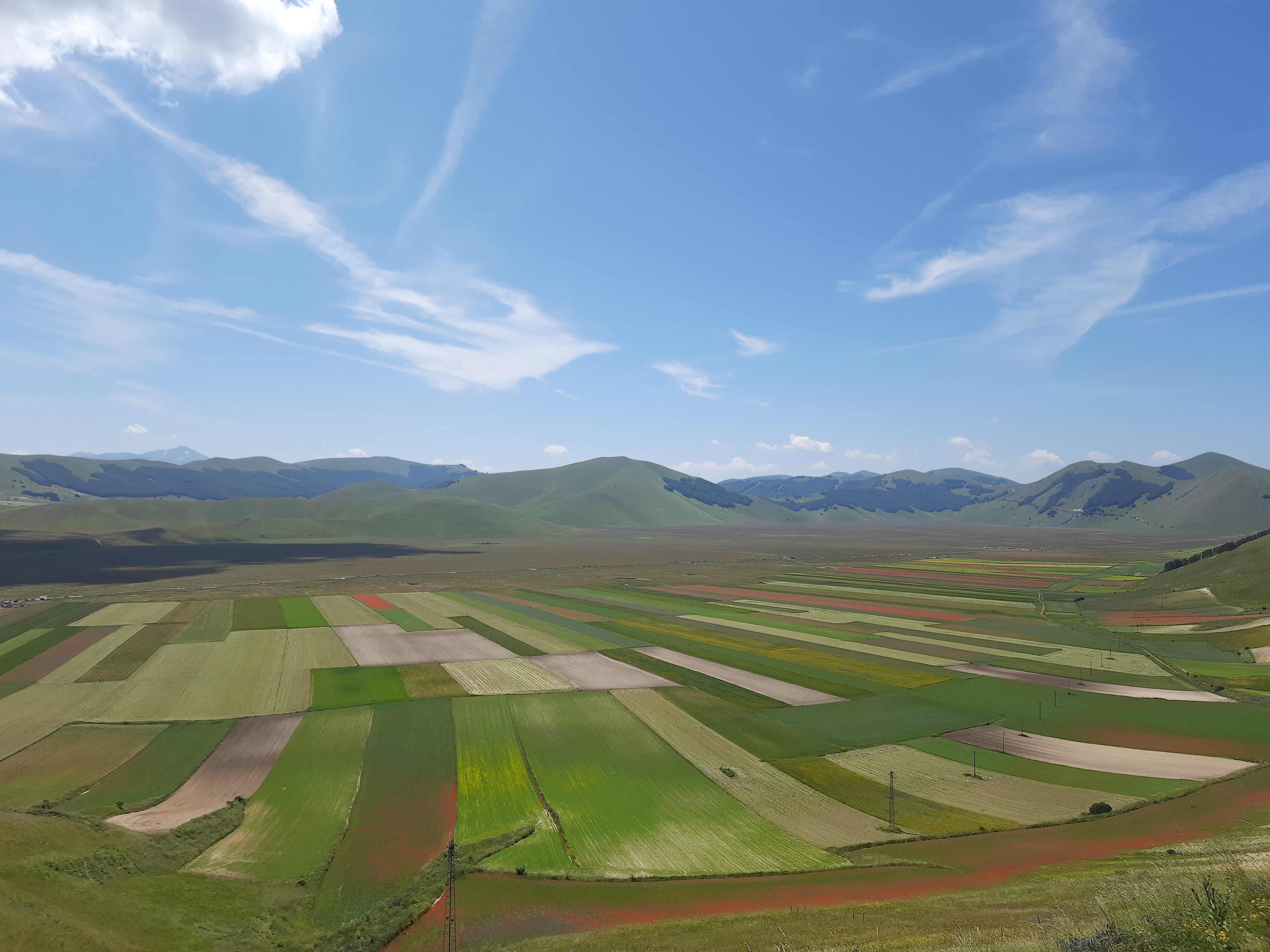 Fioritura Castelluccio