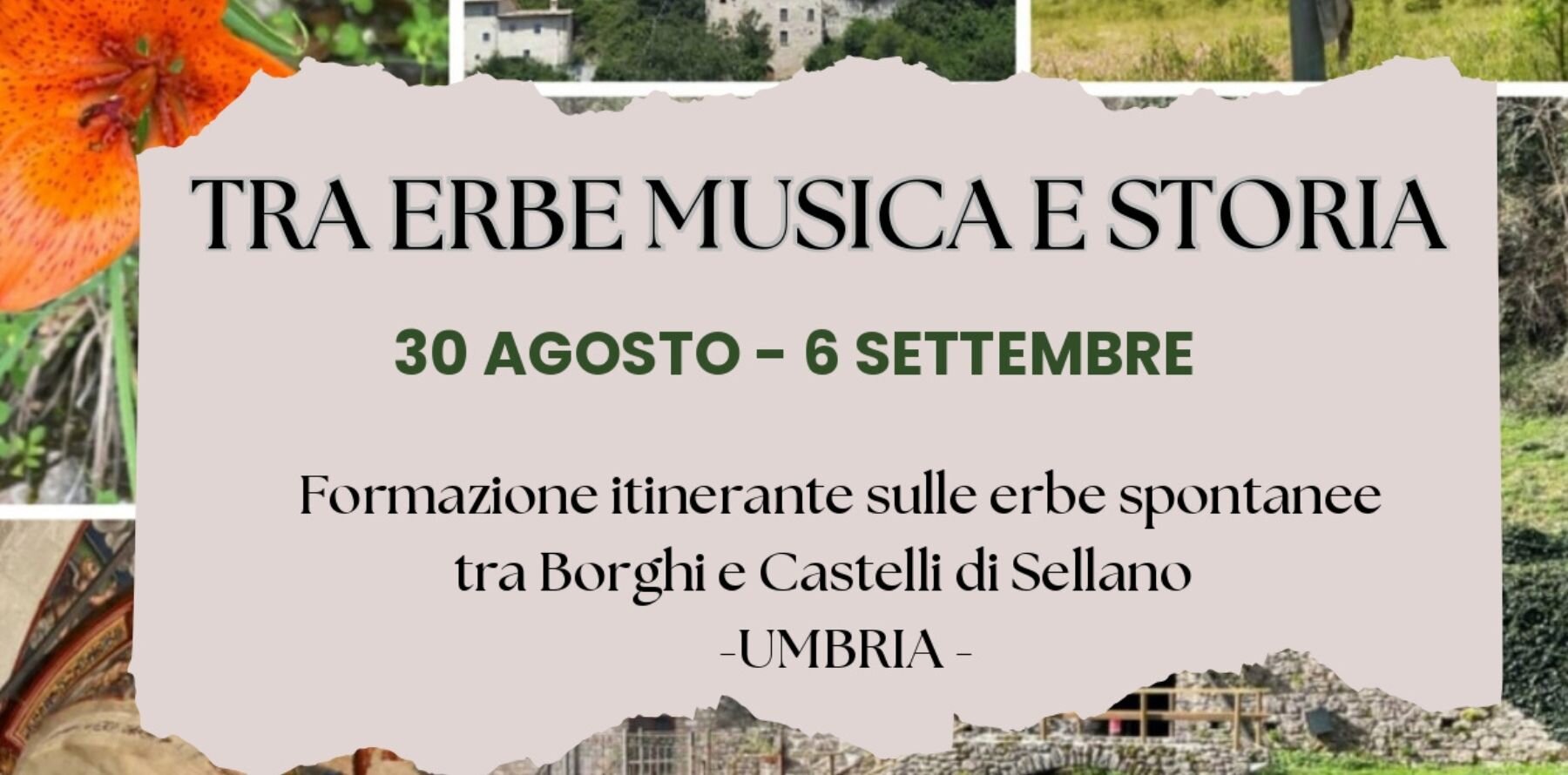 Tra Erbe Musica E Storia