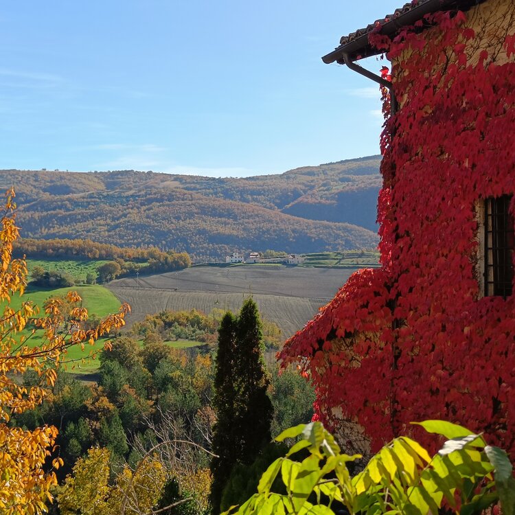 Cosa fare in autunno a Sellano