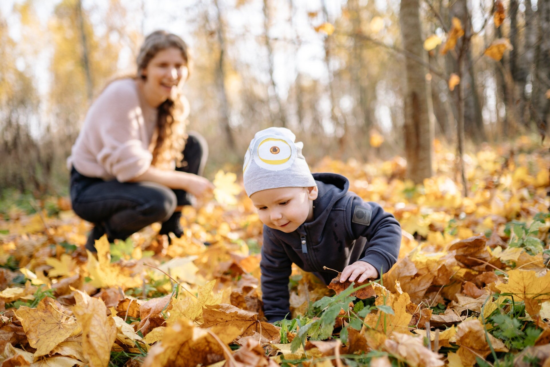 Pexels Yan Krukau 5791244 Foliage Bimbo